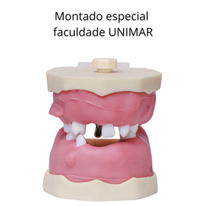 MANEQUIM DE CIRURGIA  ESPECIAL – PROFA. FLAVIA