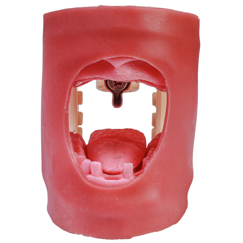 MNQ DE SUTURA QV (408)