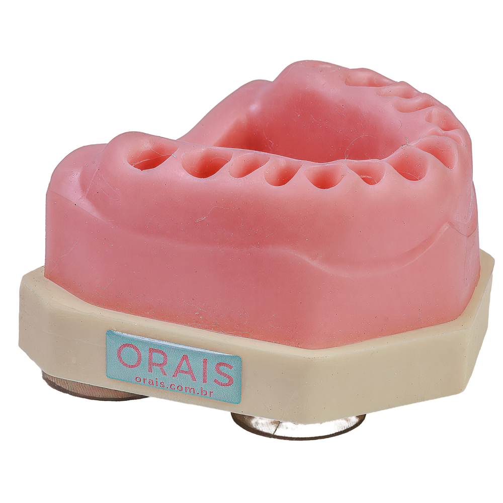 MNQ CIRURGIA PARAENDODONTICA (411)