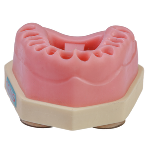 MNQ CIRURGIA PARAENDODONTICA (411)