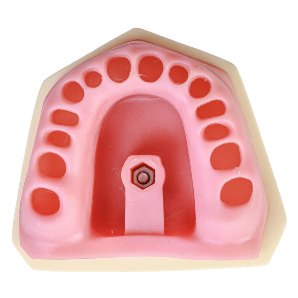 MNQ CIRURGIA PARAENDODONTICA (411)