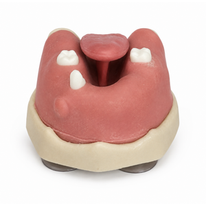 Cirurgia inferior com língua (412)