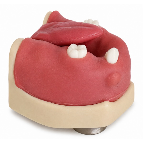 Cirurgia inferior com língua (412)