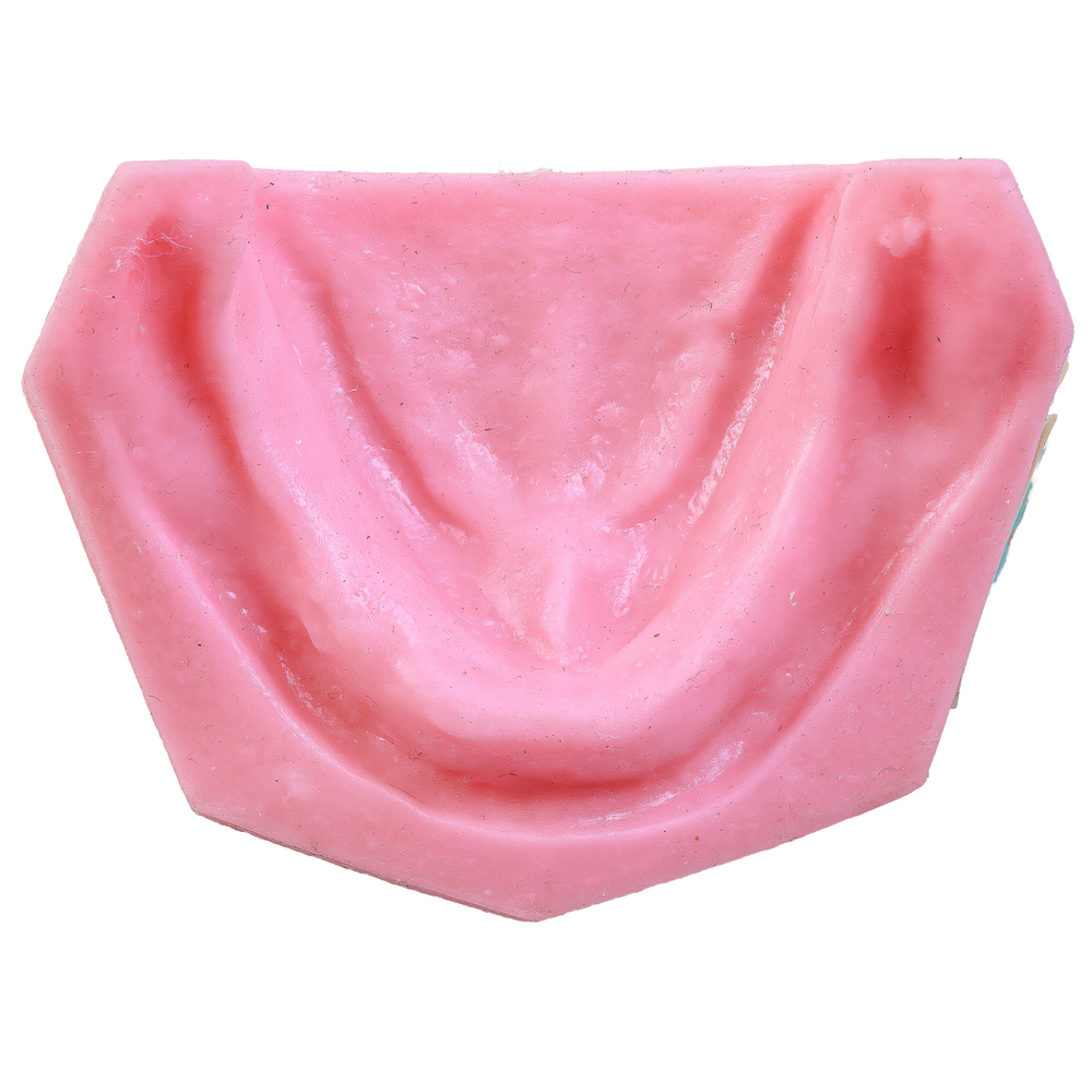 MODELO INFERIOR BORRACHA (5000)