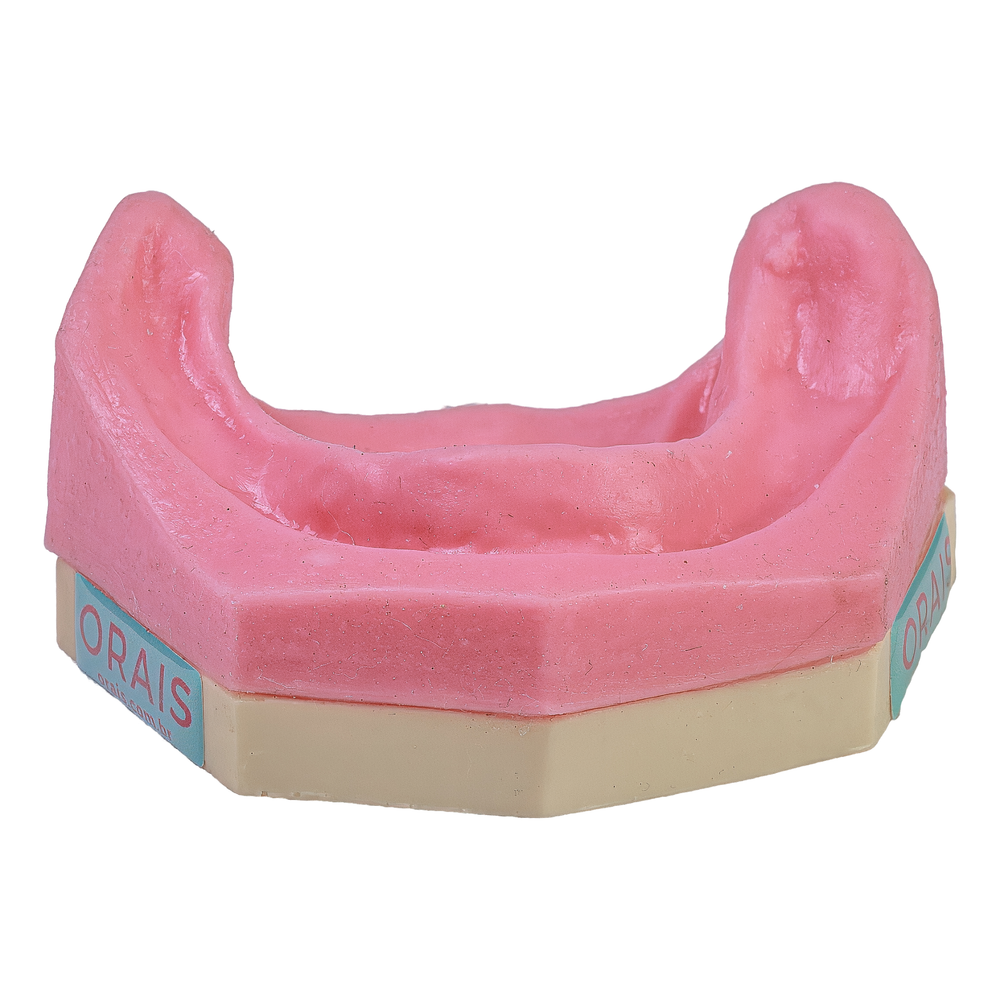 MODELO INFERIOR BORRACHA (5000)