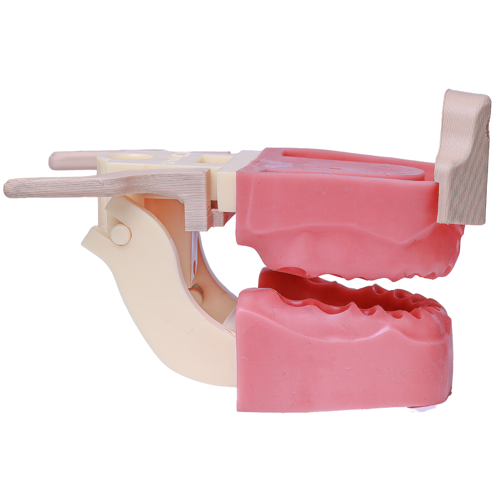 MNQ ENDODONTIA COM DA (500DA)