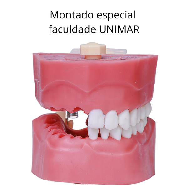 MANEQUIM ENDODONTIA ESPECIAL – PROF. JUNIOR