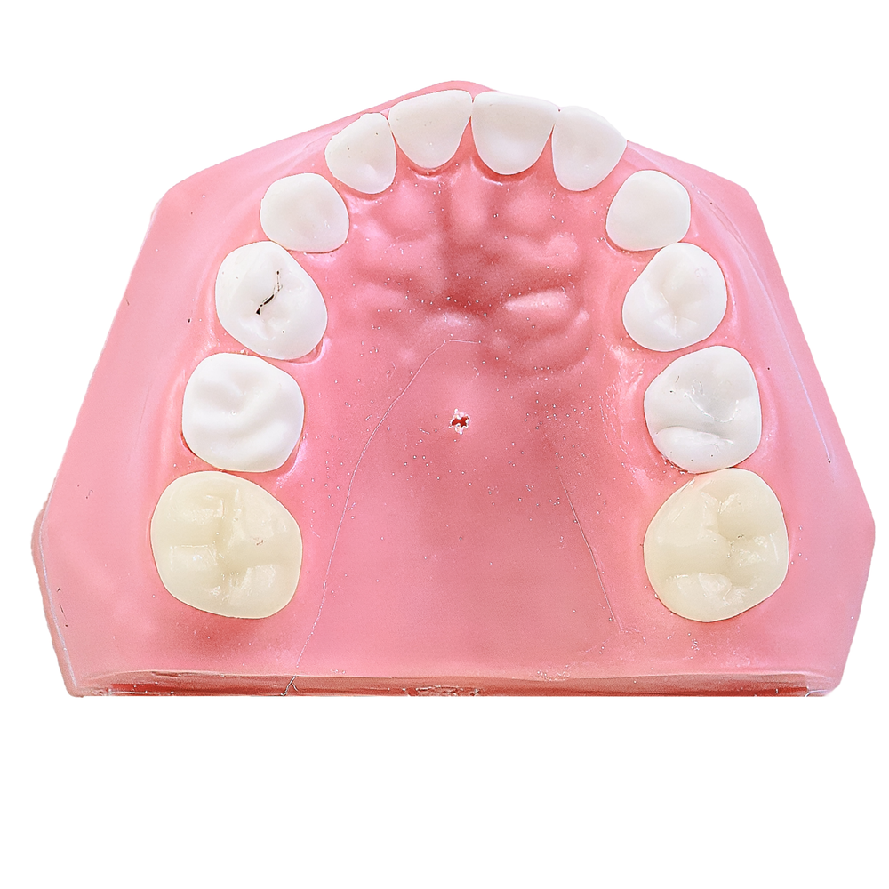 MNQ ODONTOPEDIATRIA ELC (603DA)