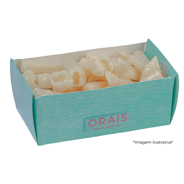 JG DENTE MATERIAIS J223 (somente arcada superior)