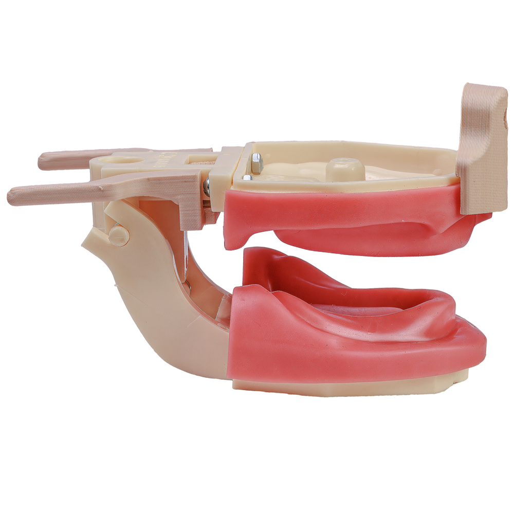 MNQ PROTESE TOTAL COM DA (700DA)