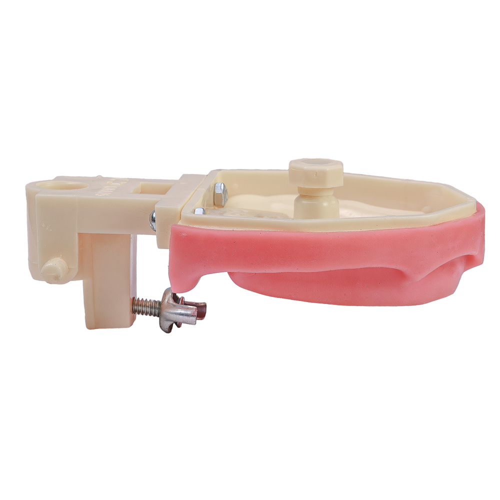 MNQ DESDENTADO SUP  (701)