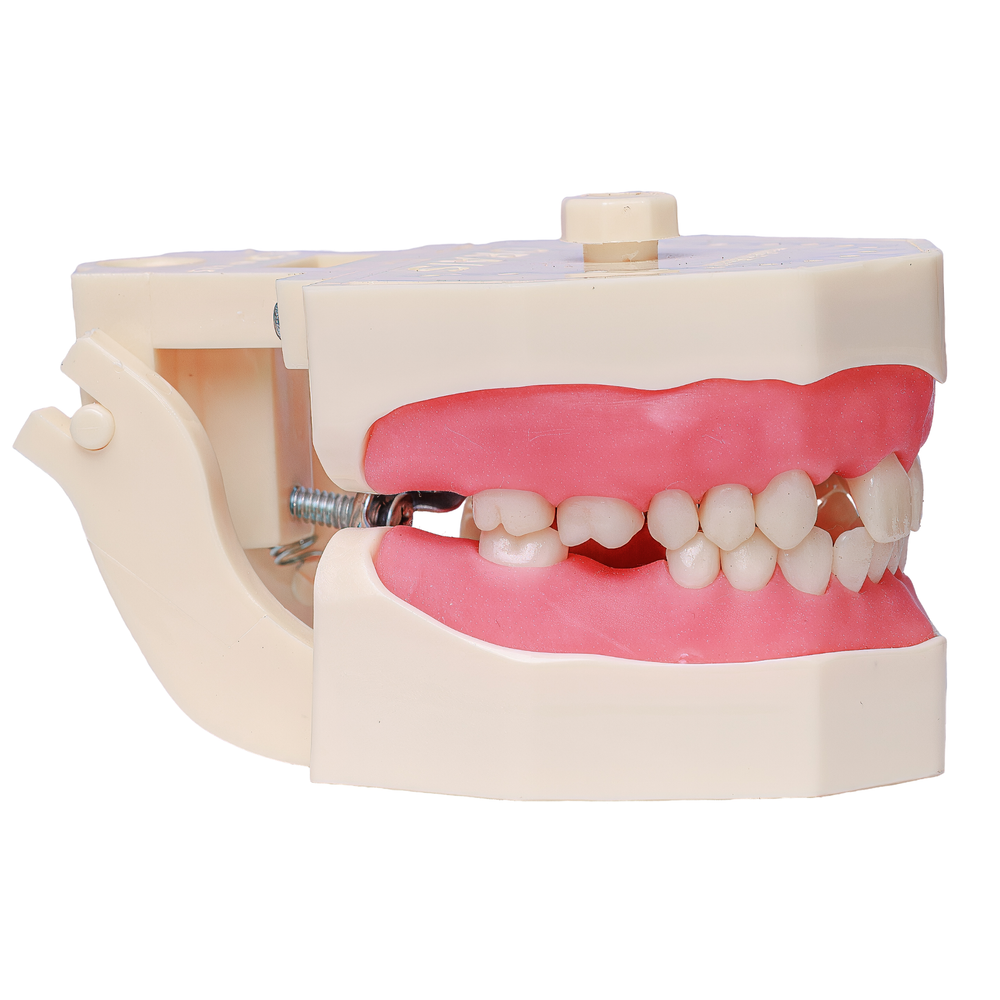 MNQ PROTESE PARCIAL 702 (702)