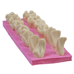 MACRODENTES PLÁSTICO PREPAROS CV (801)