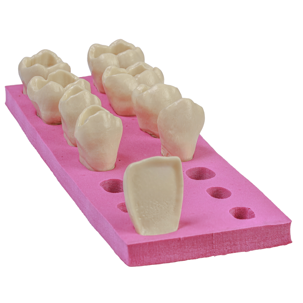 Macro Modelo Positivo (807)