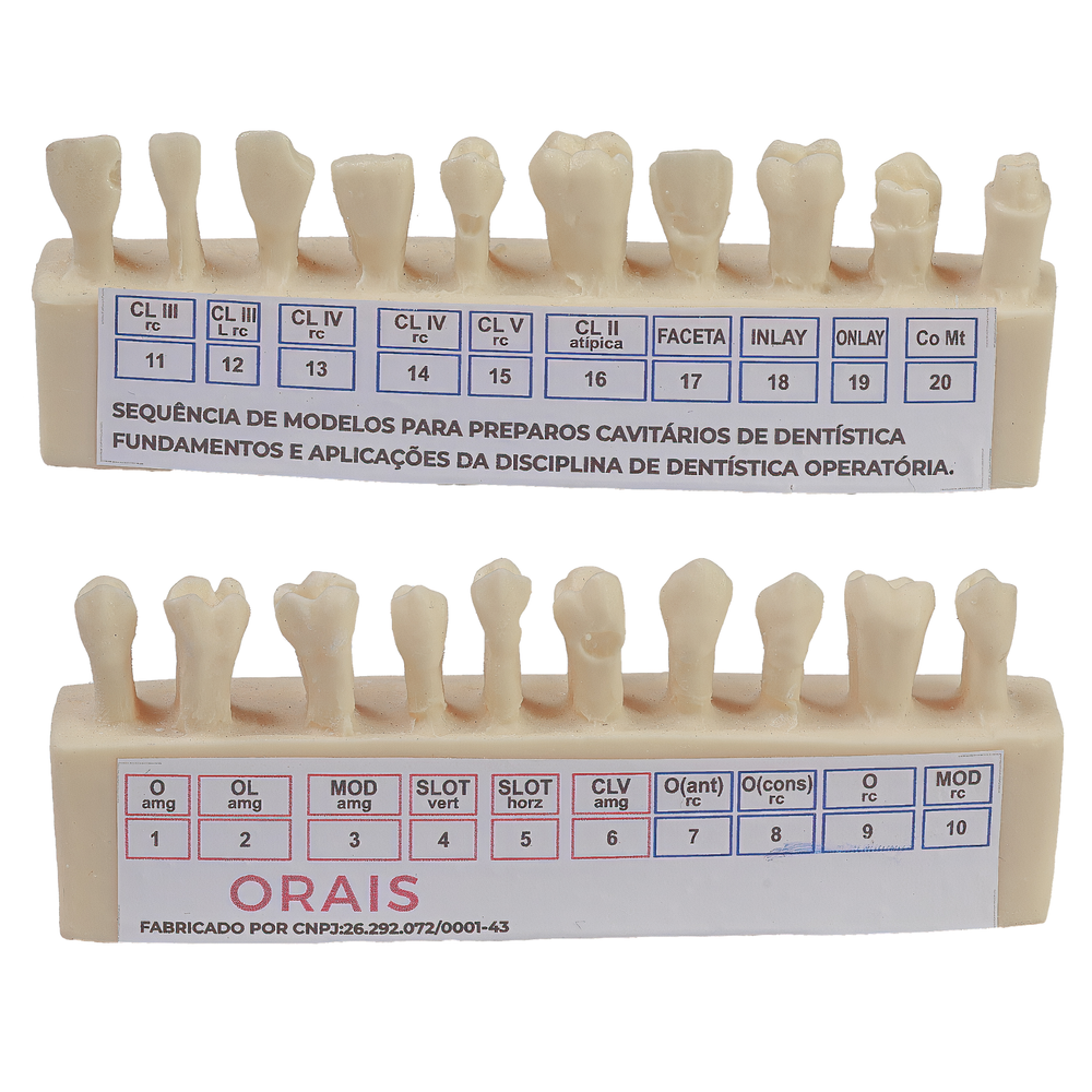 SEQUENCIA DENTISTICA (PLASTICA) (900)