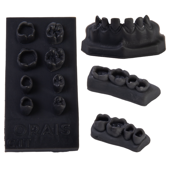 Kit Treinamento Escultura (902)