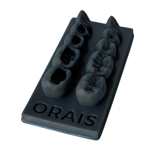 ESCULTURA POSTERIOR COM GUIA (905)