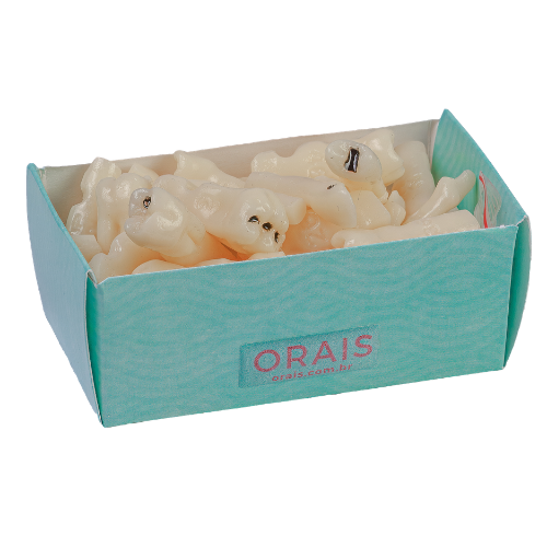 JG DENTE MATERIAIS 217 (10217)