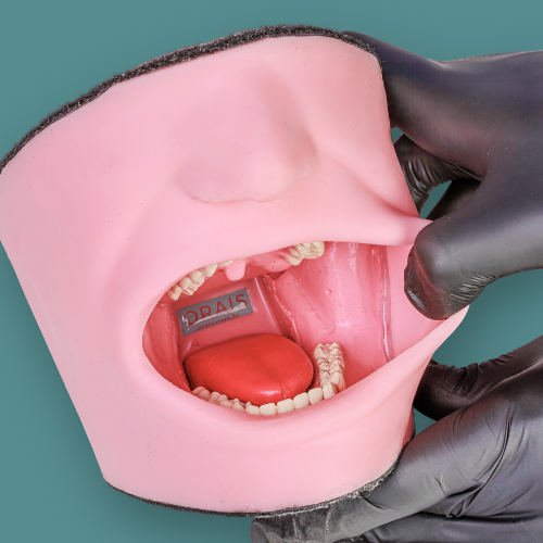 Variações de dentes preparados Orais