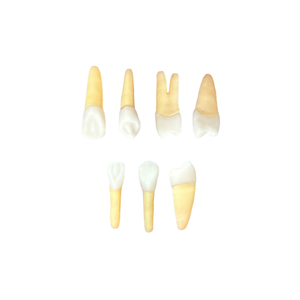 Kit Endodontia Essencial (10448)
