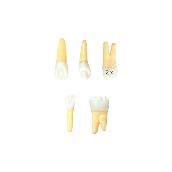 Kit Endodontia Univates (10454)